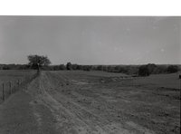 Scenes of Bare Cropland