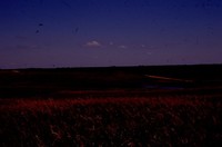 Wetland Project on Jeff Morrison's Farm.