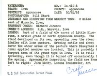 Little Bluestem on Richard Johnson's land, 1963