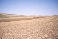 Spotts Farm Inc