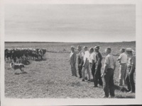 Conservation Tour - Pasture.