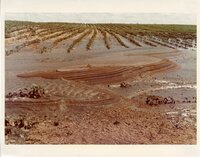 1970s? Flooded fields