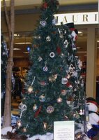 Christmas Tree displays