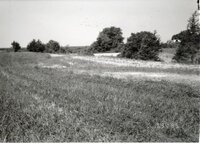 1995  Proposed Terracing Project site on Dale Edmonds' farm