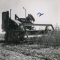 Self-propelled combine harvesting crops, view from front, 1955