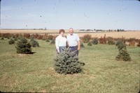 Windbreak on the farm of Don and Phyllis Conley.