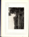 1916 Yearbook