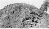 Pleistocene Beds near Muscatine, Iowa, late 1890s or early 1900s