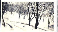 Main driveway, hair-pin turn near root cellar
