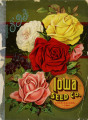Iowa Seed Company Catalog 1893