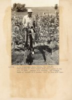 1934 - 1938 Multi-State Photograph Collection  