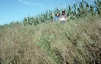 Donna and Larry Trapp farmstead.