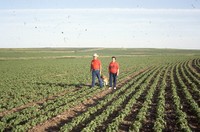 Quad State Award winners Frank and Marcia Escue farm.