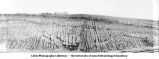 Chicago, Milwaukee and St. Paul Railroad cut, Manning, Iowa, June 10, 1915