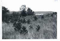 Vern Hintigen land
