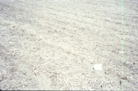 Dry cropland, 1988