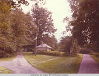 View of plantings around front drive