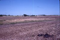 Larry Braby's Farm Before and After a Wetland Construction Project.