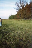 2004  Windbreak on Carl Stonoff's farm