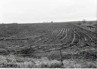 Muddy field