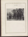 1920 yearbook