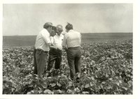 Harold Beichley farmland