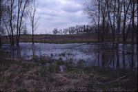 Watershed on the Cory Farm.