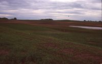 Water Basin and Pond on J. Ashland's Farm.