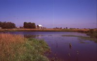 Scenes on the Hagedorn Farm.