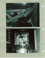 Owl and goat exhibits at Museum of Natural History, the University of Iowa, 1930s