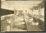 Biology Building laboratory, the University of Iowa, circa 1905