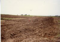 1996  Terraces built by Vera Miller