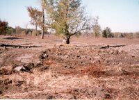 2002  Wetland Construction at Brockway LLLP