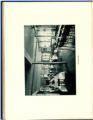 1913 Yearbook