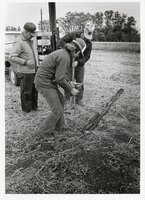 1979  Two men plant stake in a field while third man watches