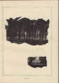1921 Yearbook