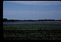 Larry Braby's Farm Before and After a Wetland Construction Project.
