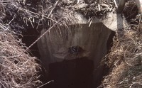 Damaged drop inlet.