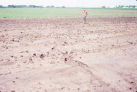 1986 Shirtless man in field