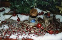 Christmas Tree displays