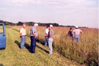 Unidentified people standing in stand of tall grass