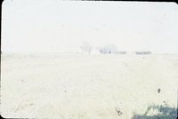 Slide Collection Of Agricultural Land And Cattle 