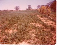 Photograph Collection Of Fisk Ramp Site 
