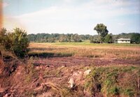 1993 flood and Flint River debris removal