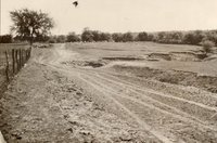 Dirt road with sheep grazing in background