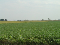 2007 Jack Strawhacker photos of pastures and ponds