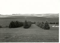 Blaine B. award winning windbreak, 1990