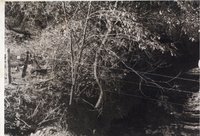 Road stabilization on Williard Noonan's land