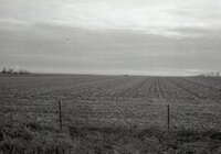 Farm field and fence