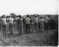 Ten People Lean Over Fence by Corn